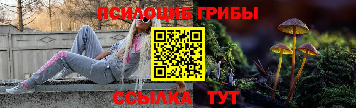 Галлюциногенные грибы MAGIC MUSHROOMS Рославль