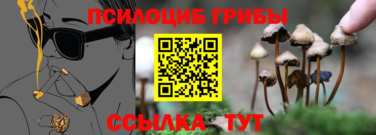 Рославль  Галлюциногенные грибы Cubensis  Вход с VPN 
